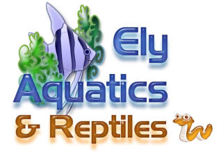Ely Aquatics & Reptiles